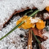 bb9ffcad88e6cdf20b257802f66e70fd