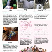 c3bb60564aa5d699b8d113a62972bca3