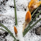 cf07c8263540902d8479aa349c69d0f0