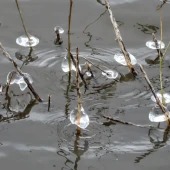 e0a3d2caa62d3325857ab1264fb7528d