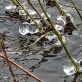 e0f6ce927cce5515ac062fe4c125c012