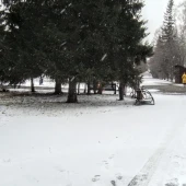 efd61bb40ad3a635671ec546a82d8b56