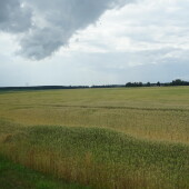 1e8ba843b54e0659d7764f5b91afe379