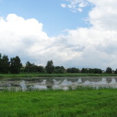 5b92a77b9c7fd242b45286f0d5b6064d