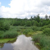 7904d8ee1b9e8079f99cfd8aa9e98cc1