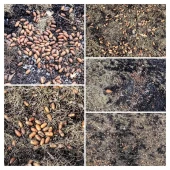 7bebd763164f987f206ffd8500f763e2