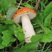 7c7d07625ea2cc368af3f4a11d820a66