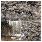 a51f507cb2f72c9b78faf8a58f623cdc