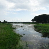 c113efaa51afc8c7e9845266f20400b7