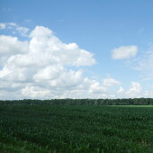 c41ceb8e43971d9c1a5d3afc71903287