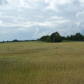 c84358a474293d16f0b7829cf70f98a9