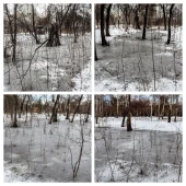 d031c79bf393be4f9f3e97bf0004709c