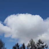 e0f68e2702b8e5242b1d6365d179fd94