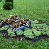 01b384a6c283c0146fe3ec0f51d831a7