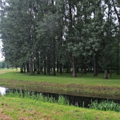 066b42b10d41fc606014929bdcfed212