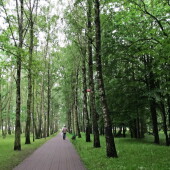 0d1a7f63d8222cc666c83aae2cd09346