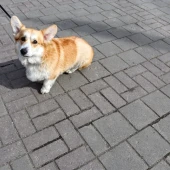 14ce88ca36539af33b97721222ce064d