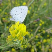 1fb306fb1fad6efe51ae43ddfe67a209