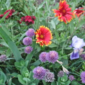 245ddcd3ddc15b8793a2df2c113d8909