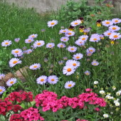 2abfd3e4ccfca791e74e2e458f9afa4d