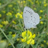 31bd07d039b8abf0cc8cb9fe1c63321d