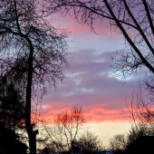 3c946d322cefb7959b9eb288890430ab