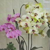 48f20fb48e58f29bc9143b15b2ad6623