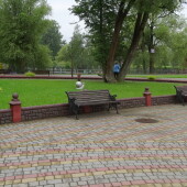 492706d5f79c55df407c27061dc02475