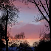 4c9616b66a304adfdbb0fce6eaa23f56