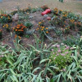 52646d66071cea26a46bb36e6f0dcc28