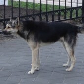 5e2c9cd2d13a7e3c3625960e96dace0a