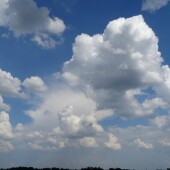 5e4a3dfccc9e5ef325b119df32072259