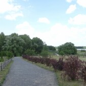 600d61aaf0365cd04f904e0491131cba