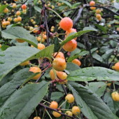 648a5abc6e1b51edda2078258ea7d9e8