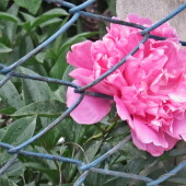 652426d7dd0c1fe05e8f6c4c623e4755