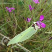 6584c9046f65e97aa9f313e94e36cc95