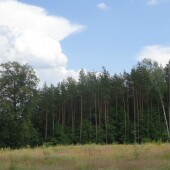 687f856ad0864c24a360fad9bc7db9ac