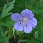 6e33ae818399bcaed9a523b3f6fb2ea2