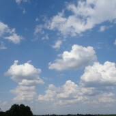 73194bd79300ff15f0ac1fef8cbb9ba8