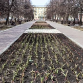 75ae9f8df9e759b9a62ef9512d717b30