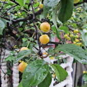 7a47ee948258ce60aaa4b58cadd76fd0