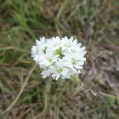 7c32154327b55d9be1e7fae8e61f9679