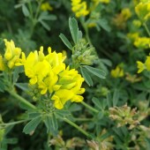 7d129aee3e01fb1740a2b2af758122d3