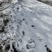 8c038e659a1dc062806b3a878cf8eaf2