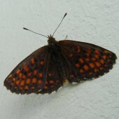 8cfb491f7edbfb9a6e00a8e7024478c7