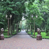 8e4a64b4c10680cde861d5aae0db6785