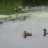 90d80ccb835a013bca3d73d191644fb2