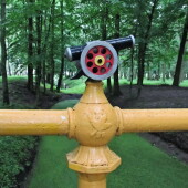 94797e3ddcafd19187e6f7921596f77f