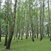 97c3d4d4535525018cbb4de853c49857