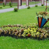 97fe8cd70b0ffde45e1dd4e16a7a8a3b